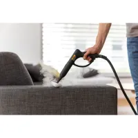 Wagner - 915E Power Steamer