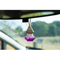 Carfume - Luxury Car Fragrance - Alien Spirit