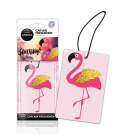 Animals - flamingo