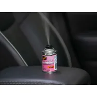 Meguiar's - Air Refresher - Fuji Sunset